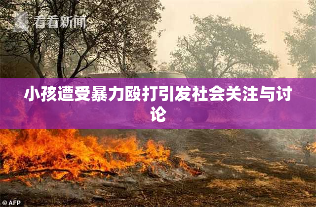 小孩遭受暴力殴打引发社会关注与讨论