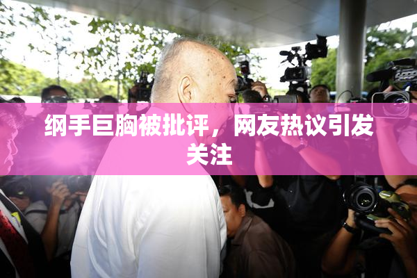 纲手巨胸被批评，网友热议引发关注