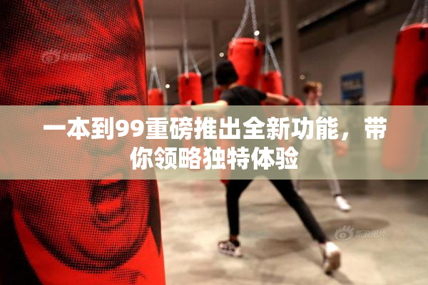 一本到99重磅推出全新功能，带你领略独特体验