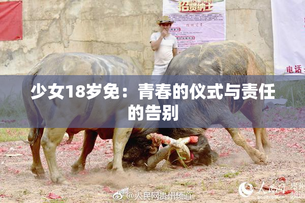 少女18岁免：青春的仪式与责任的告别