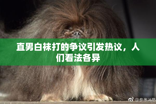 直男白袜打的争议引发热议，人们看法各异