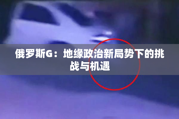 俄罗斯G：地缘政治新局势下的挑战与机遇