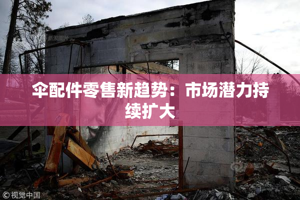 伞配件零售新趋势：市场潜力持续扩大