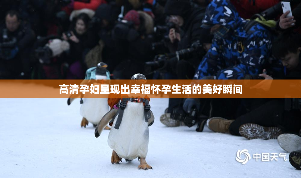 高清孕妇呈现出幸福怀孕生活的美好瞬间