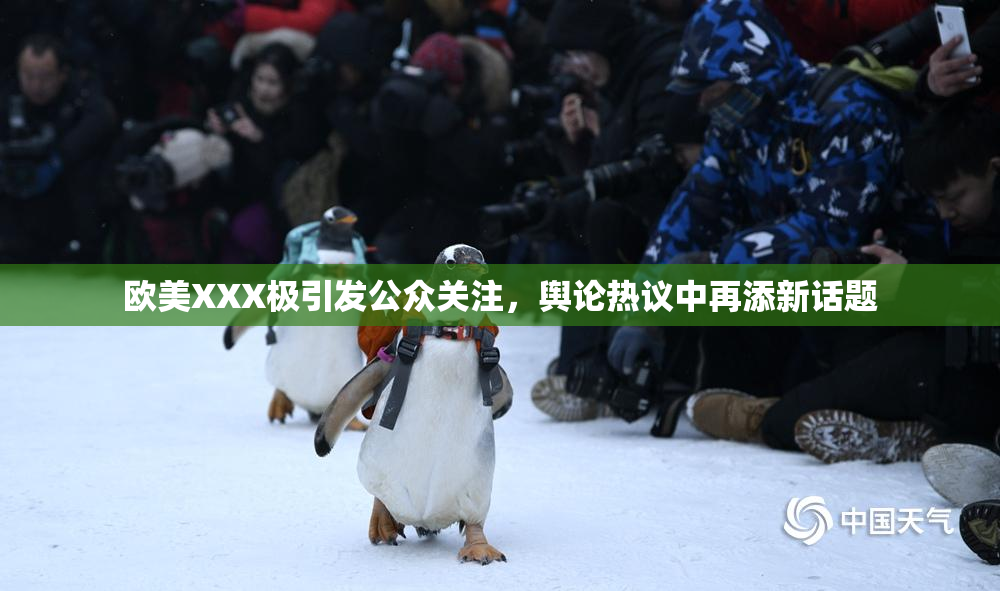 欧美XXX极引发公众关注，舆论热议中再添新话题