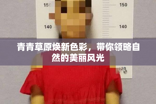 青青草原焕新色彩，带你领略自然的美丽风光