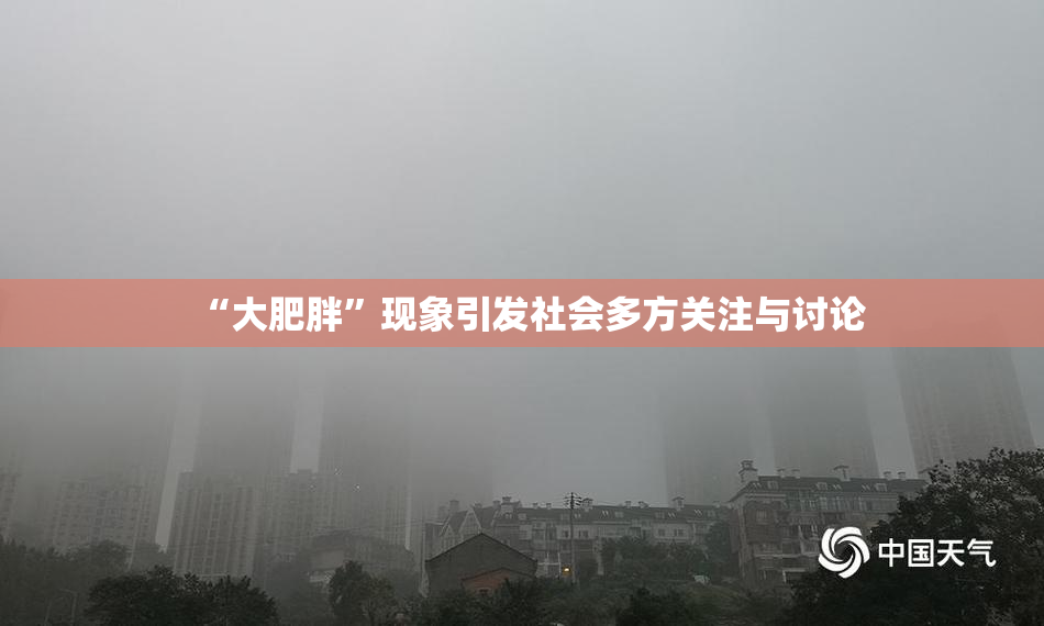 “大肥胖”现象引发社会多方关注与讨论