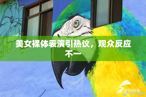 美女裸体表演引热议，观众反应不一