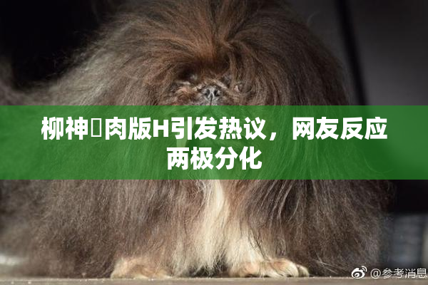 柳神婬肉版H引发热议，网友反应两极分化