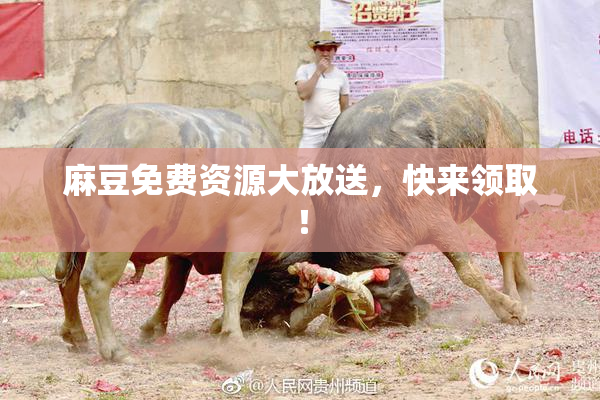 麻豆免费资源大放送，快来领取！