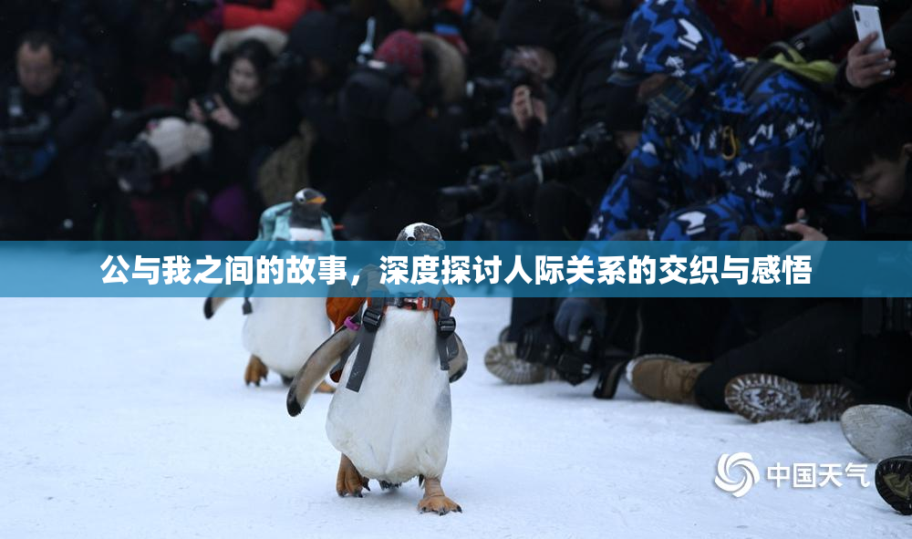 公与我之间的故事，深度探讨人际关系的交织与感悟