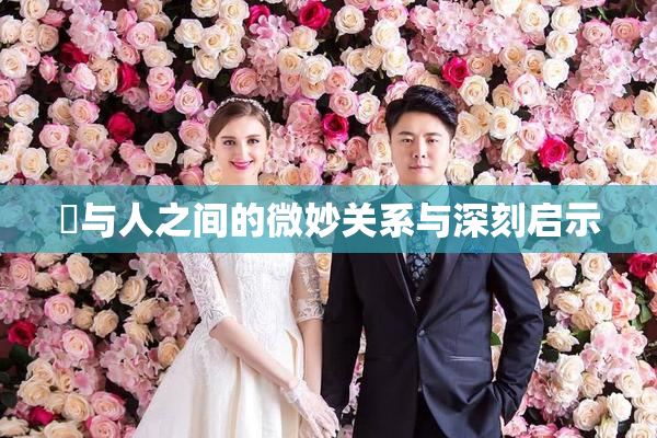 嘼与人之间的微妙关系与深刻启示
