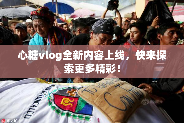 心糖vlog全新内容上线，快来探索更多精彩！