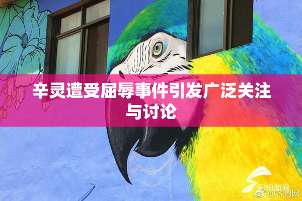 辛灵遭受屈辱事件引发广泛关注与讨论