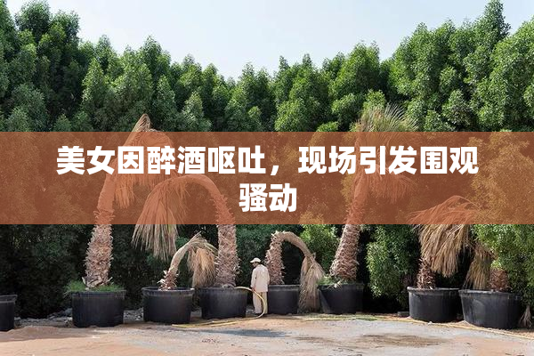 美女因醉酒呕吐，现场引发围观骚动