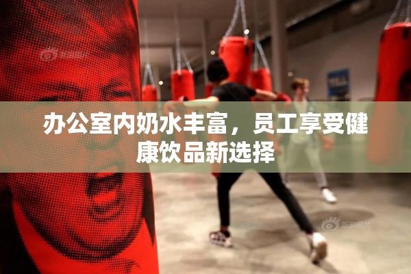 办公室内奶水丰富，员工享受健康饮品新选择