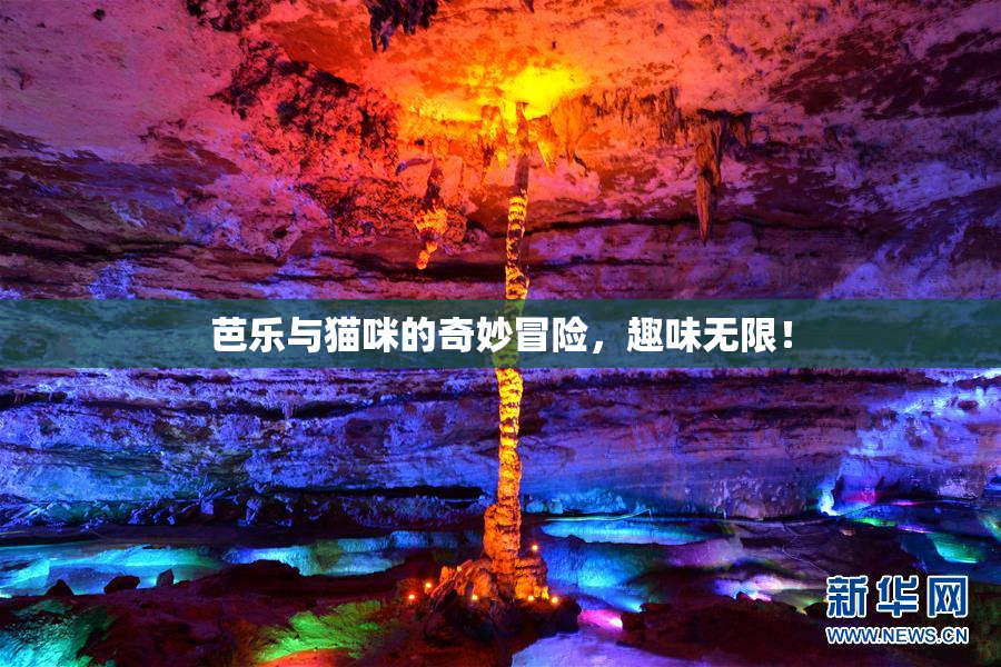 芭乐与猫咪的奇妙冒险，趣味无限！