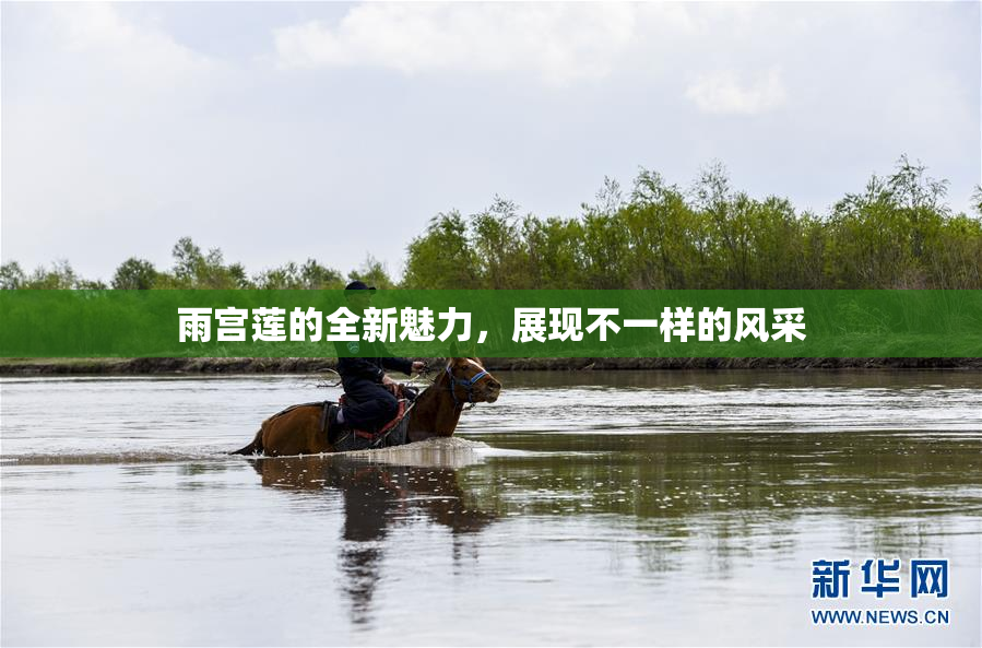 雨宫莲的全新魅力，展现不一样的风采