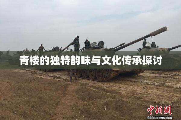 青楼的独特韵味与文化传承探讨