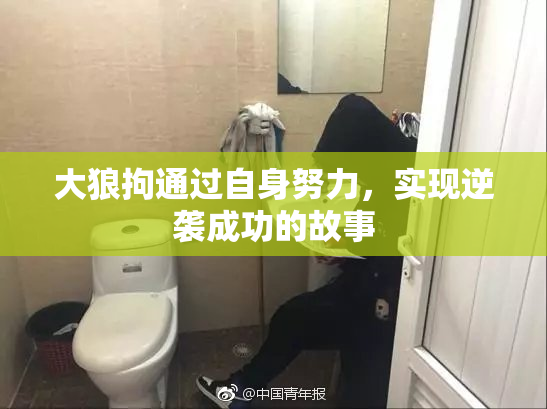 大狼拘通过自身努力，实现逆袭成功的故事