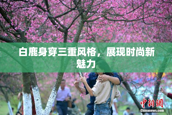 白鹿身穿三重风格，展现时尚新魅力