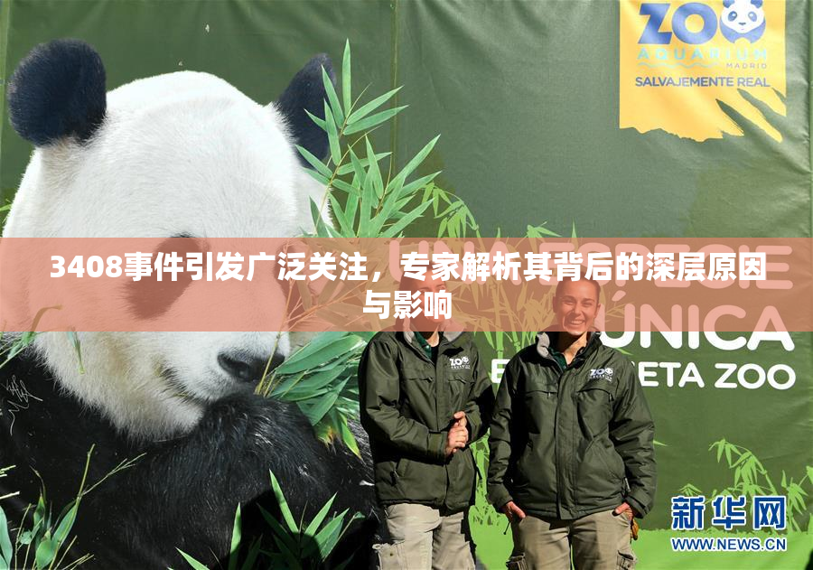3408事件引发广泛关注，专家解析其背后的深层原因与影响