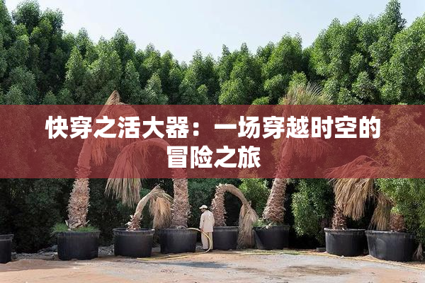 快穿之活大器：一场穿越时空的冒险之旅