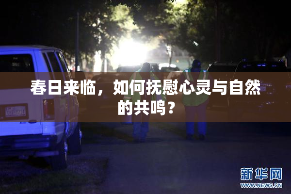 春日来临，如何抚慰心灵与自然的共鸣？