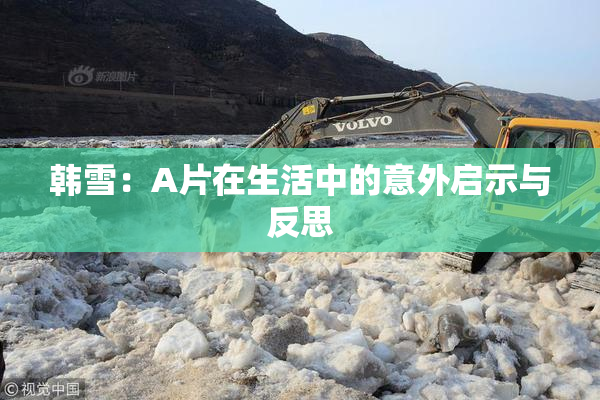 韩雪：A片在生活中的意外启示与反思