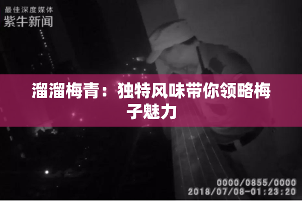 溜溜梅青：独特风味带你领略梅子魅力