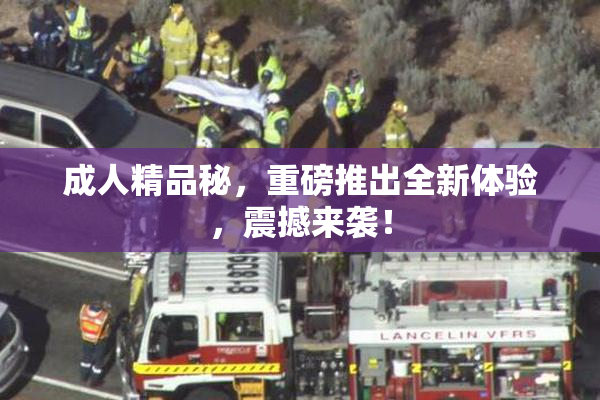 成人精品秘，重磅推出全新体验，震撼来袭！