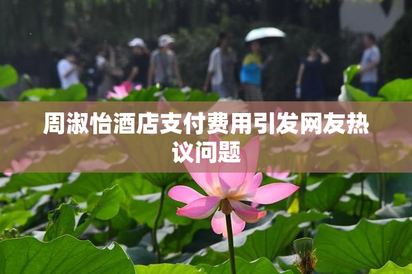 周淑怡酒店支付费用引发网友热议问题