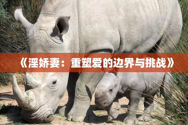 《淫娇妻：重塑爱的边界与挑战》