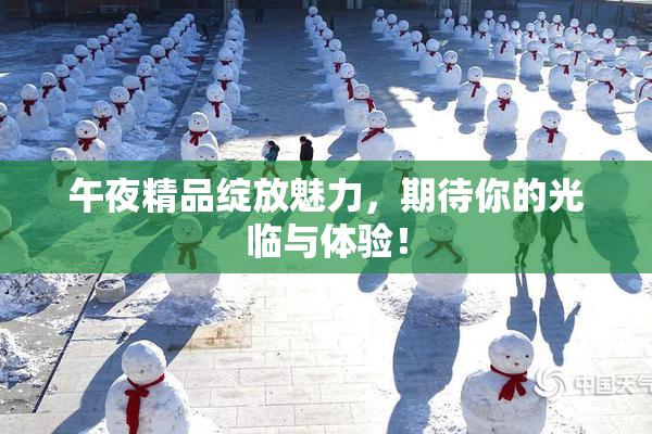午夜精品绽放魅力，期待你的光临与体验！