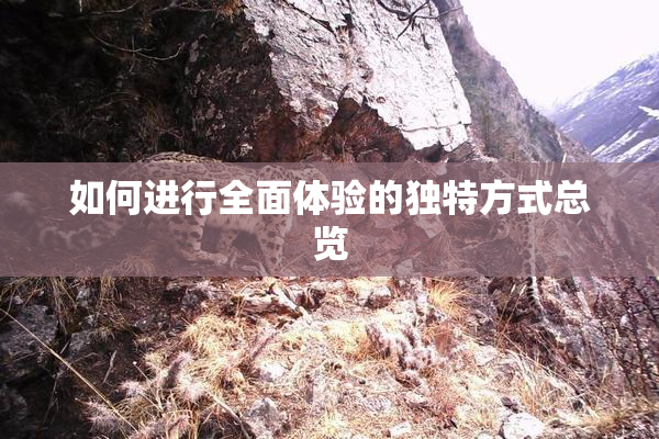 如何进行全面体验的独特方式总览