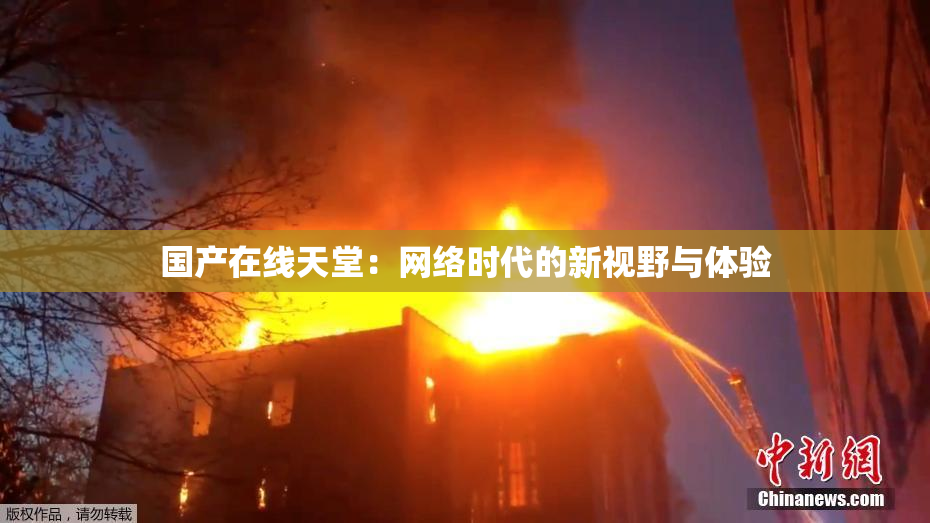 国产在线天堂：网络时代的新视野与体验