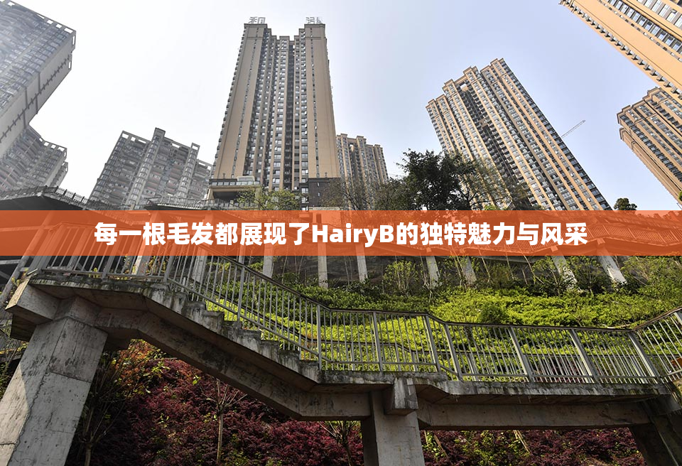 每一根毛发都展现了HairyB的独特魅力与风采