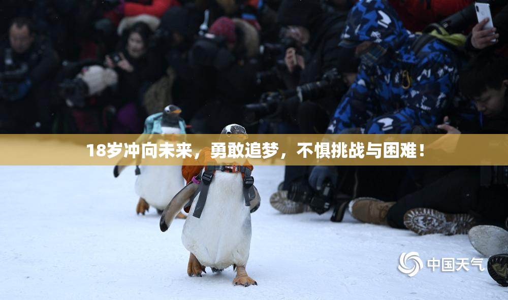 18岁冲向未来，勇敢追梦，不惧挑战与困难！
