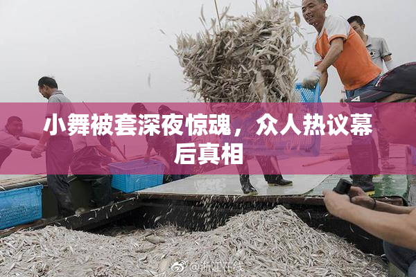 小舞被套深夜惊魂，众人热议幕后真相