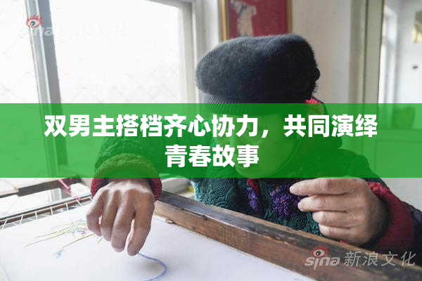 双男主搭档齐心协力，共同演绎青春故事