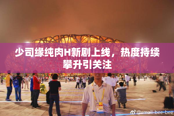 少司缘纯肉H新剧上线，热度持续攀升引关注