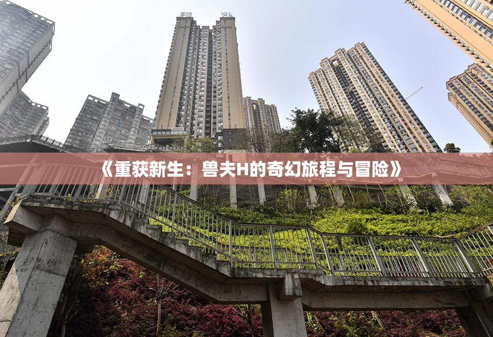 《重获新生：兽夫H的奇幻旅程与冒险》