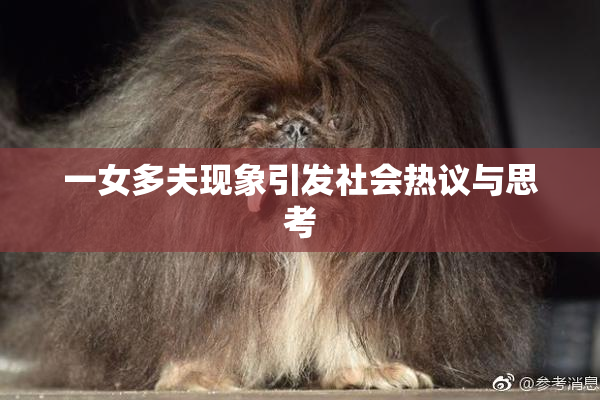 一女多夫现象引发社会热议与思考