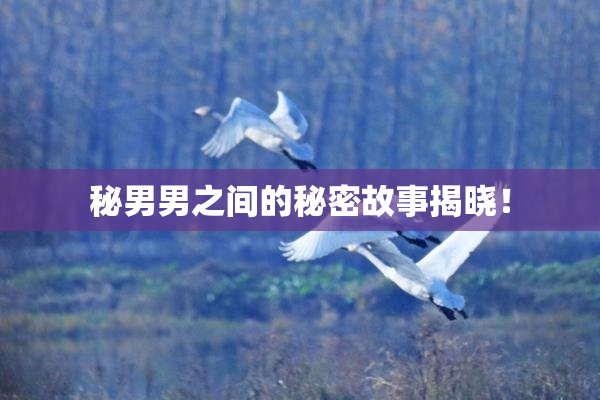 秘男男之间的秘密故事揭晓！