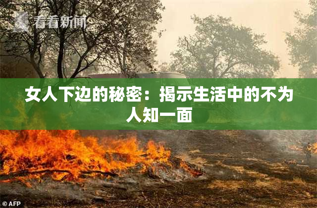 女人下边的秘密：揭示生活中的不为人知一面