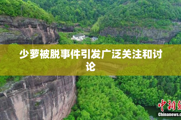少萝被脱事件引发广泛关注和讨论