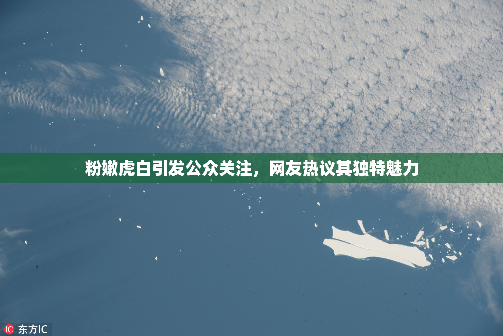 粉嫩虎白引发公众关注，网友热议其独特魅力
