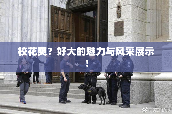 校花爽？好大的魅力与风采展示！