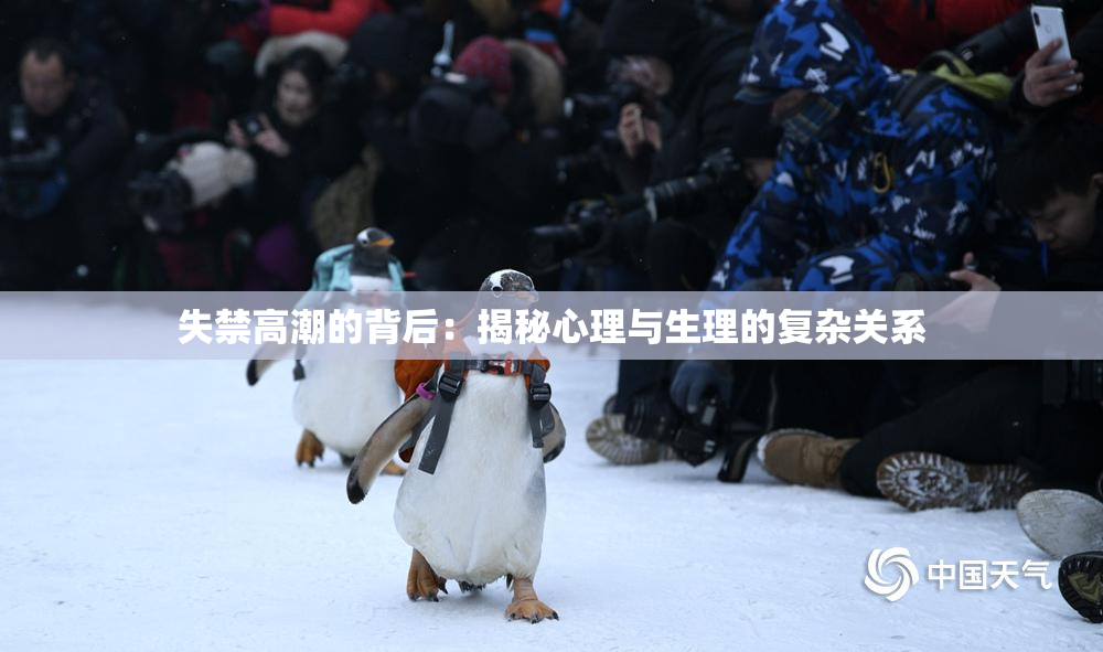 失禁高潮的背后：揭秘心理与生理的复杂关系
