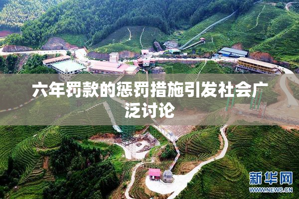 六年罚款的惩罚措施引发社会广泛讨论